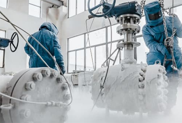 24-hour Rapid Response