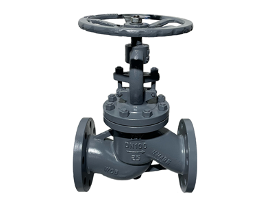 Globe Valve