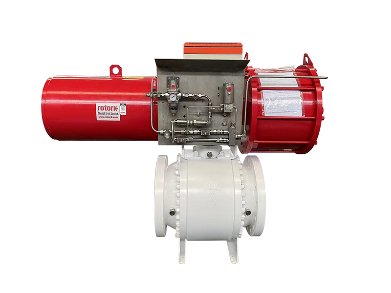 Fixed ball valve