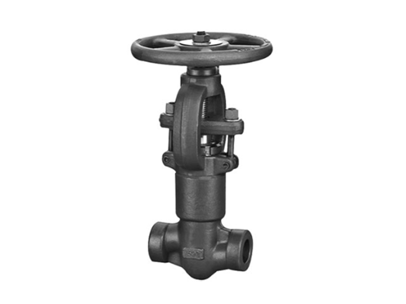 Forged steel stop valve