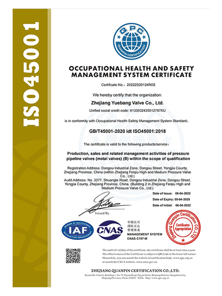 ISO Occupational Health Management System certificate