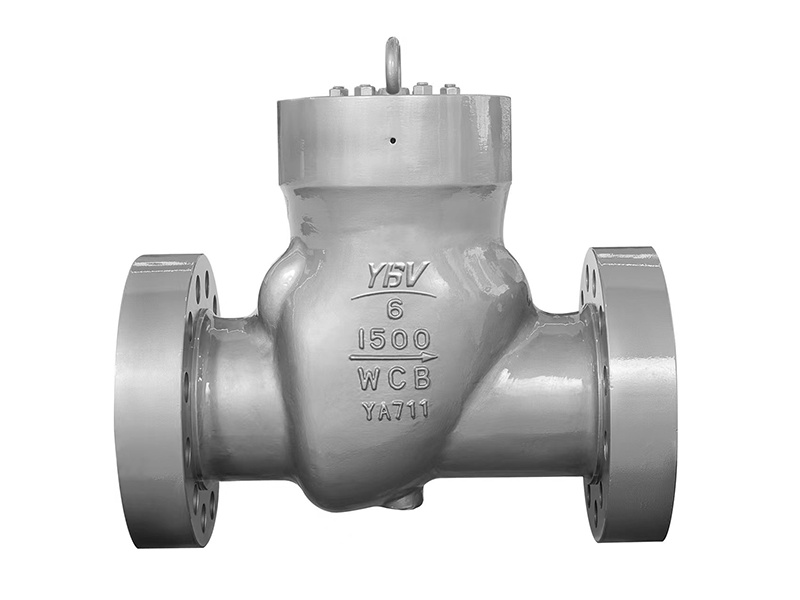 Swing check valve